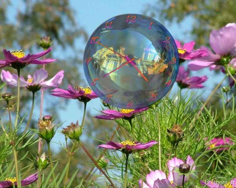 Clock in a flower field