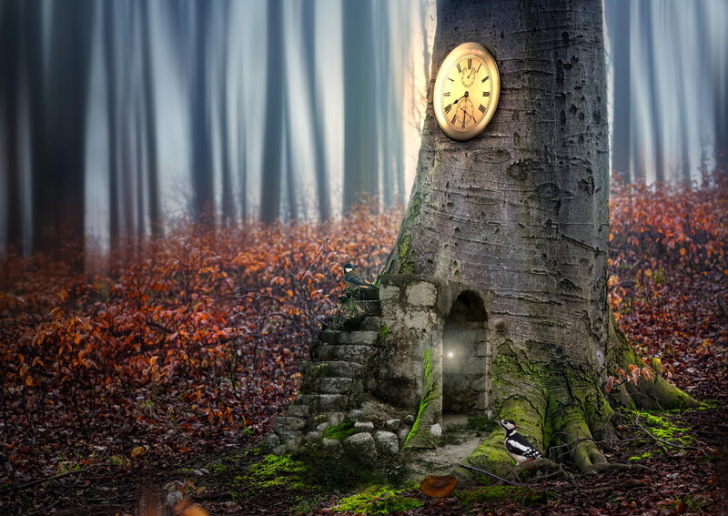 Clock in Tree Trunk