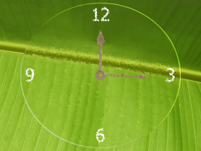 clock on a green leaf