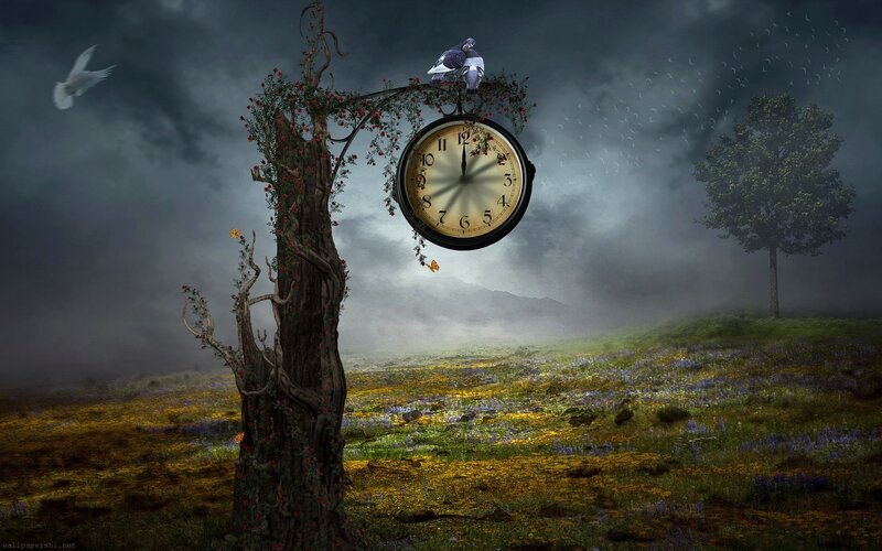 Clock on a Tree