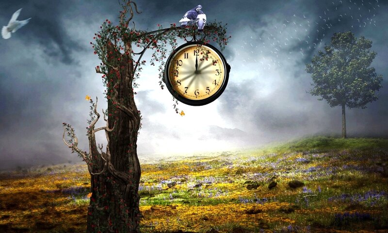 Clock on Tree Branch