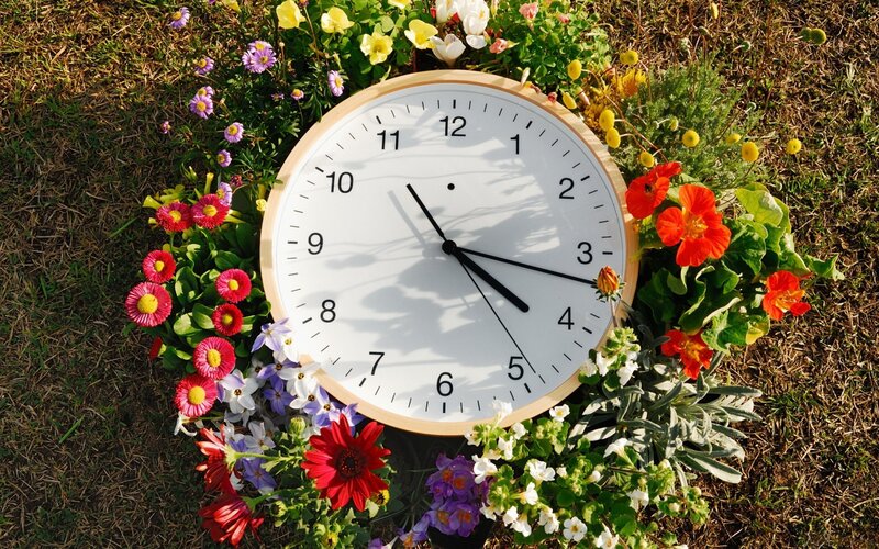 Clock Surrounded by Flowers — White, Serene, Afternoon