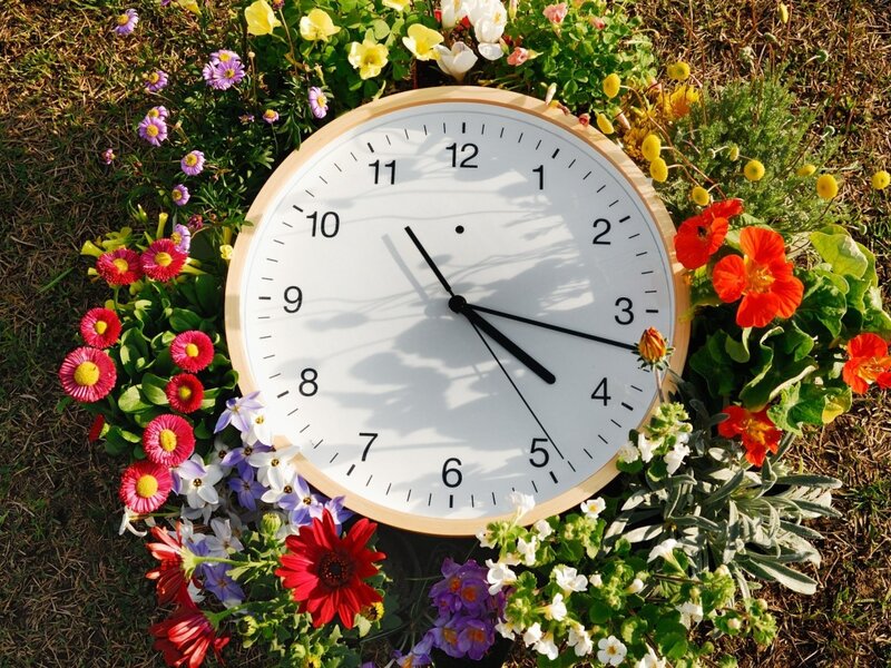 Clock Surrounded by Flowers — White