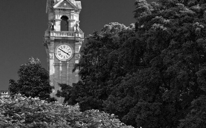 Clock tower behind trees