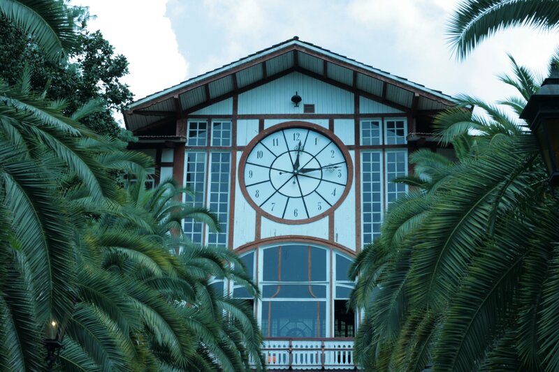 Clock tower with palm trees