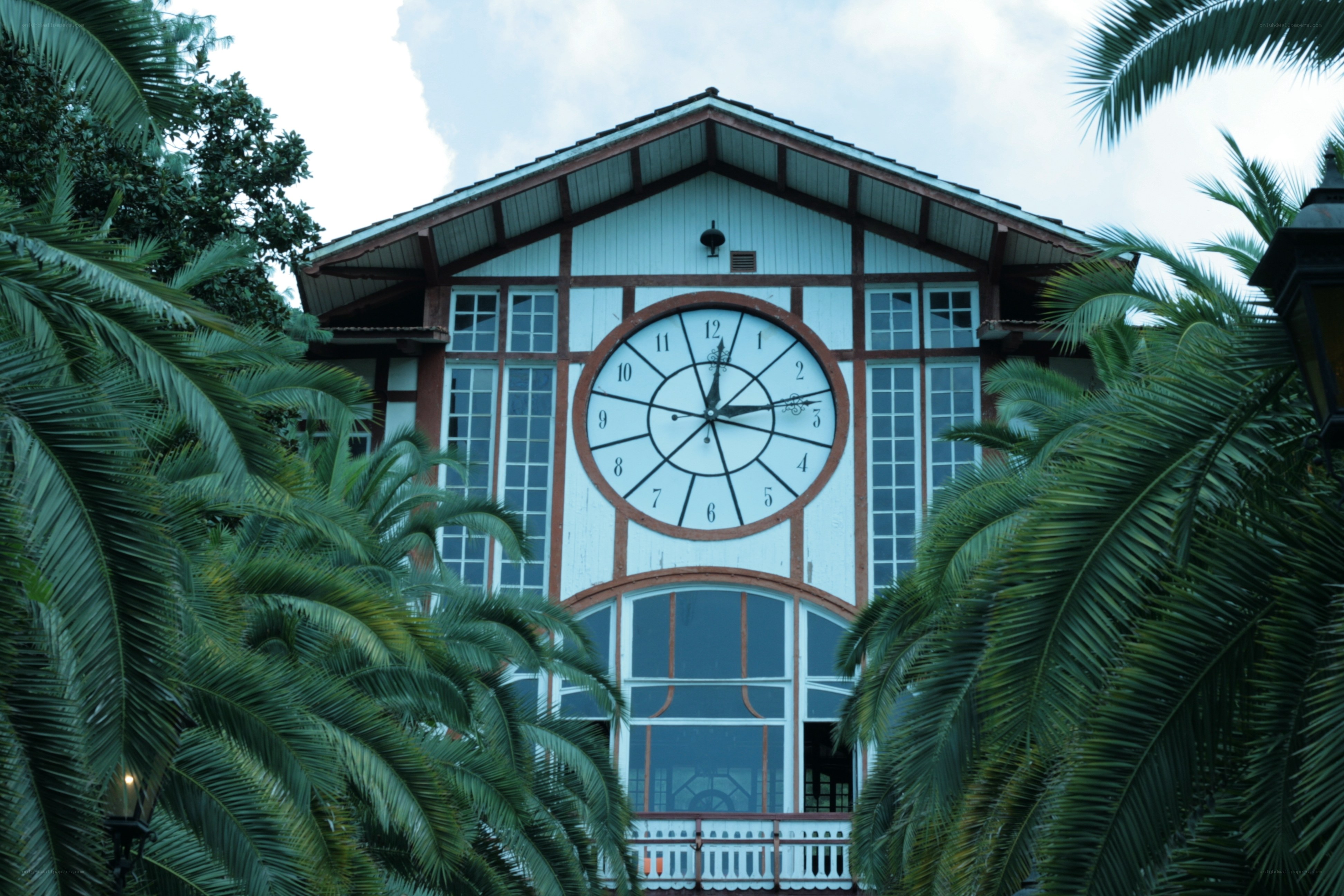 Clock tower with palm trees