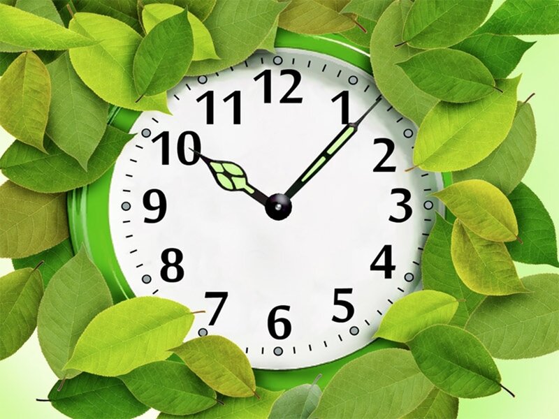 clock with green leaves
