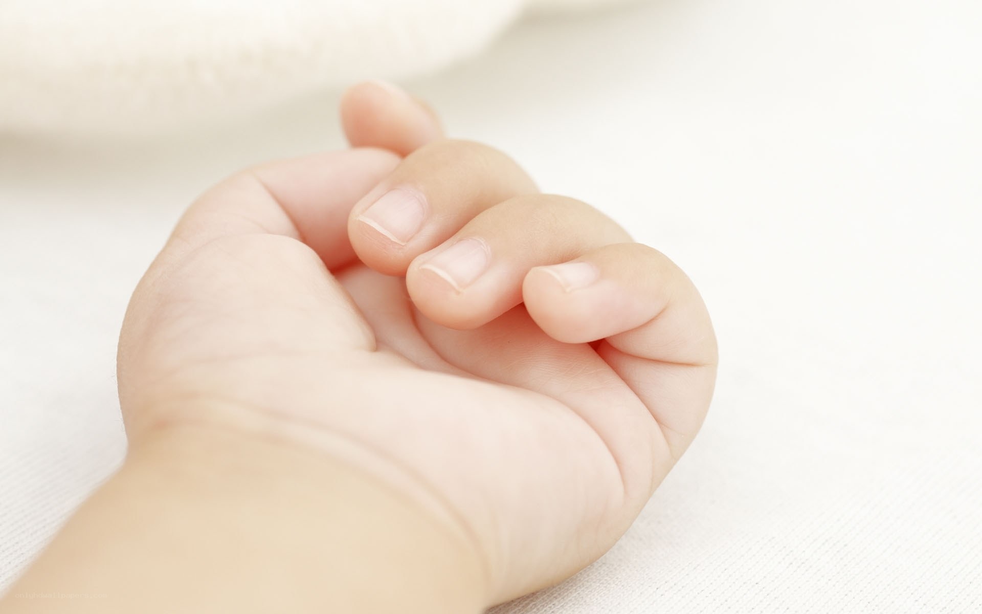 close-up of a baby's hand