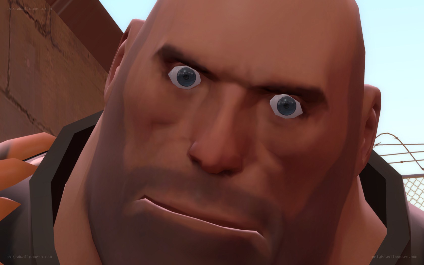 close-up of a bald character