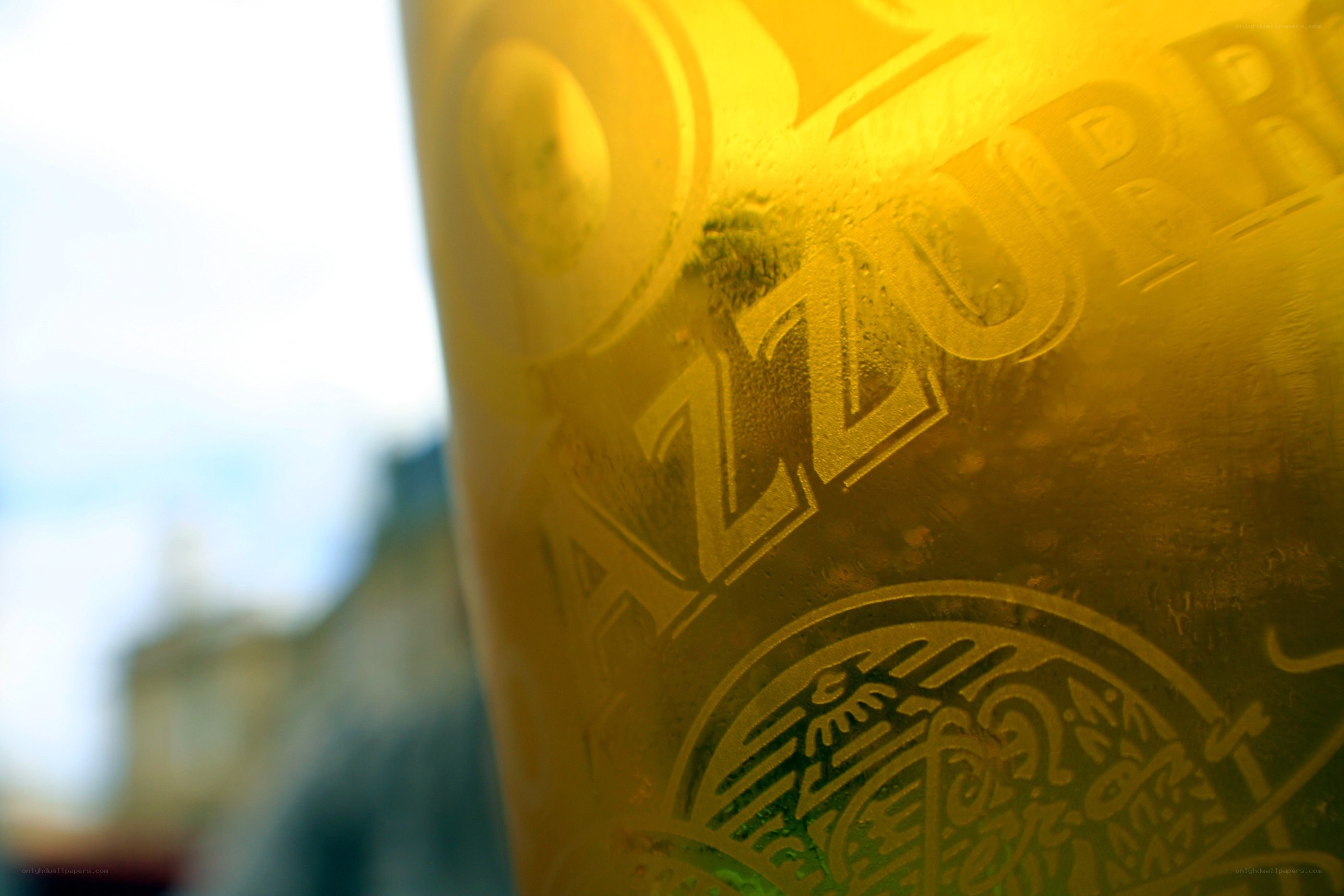 close-up of a beer bottle