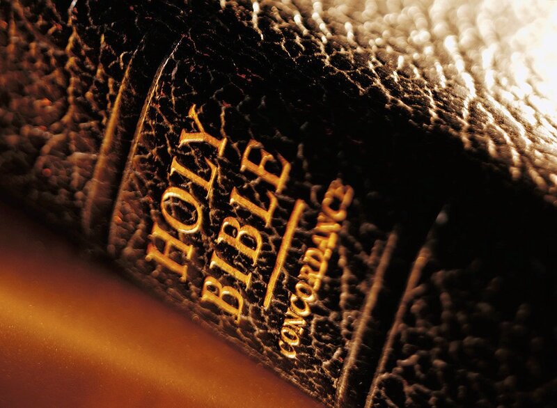 close-up of a bible spine