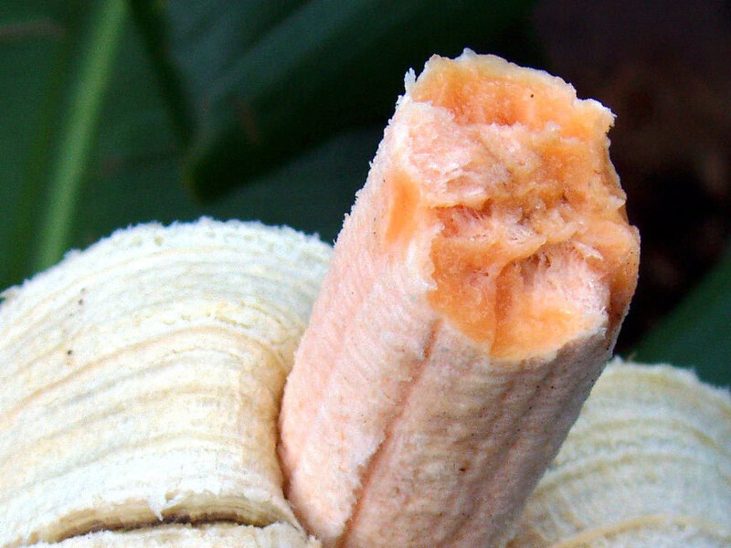 close-up of a bitten banana