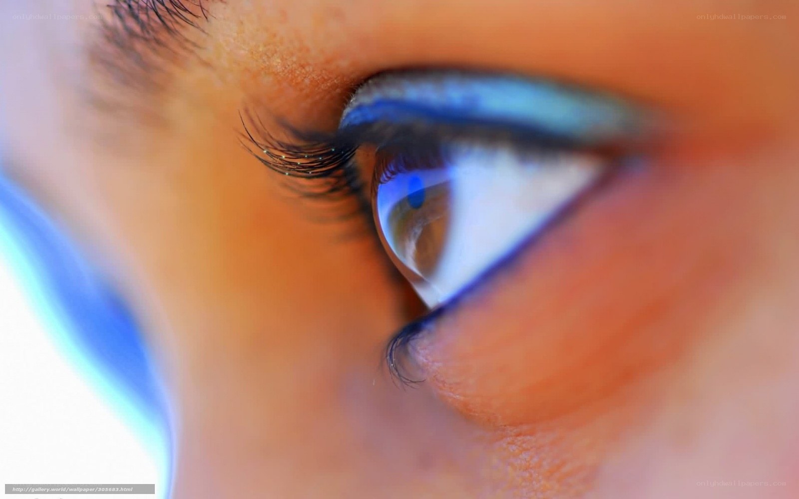 close-up of a blue eye