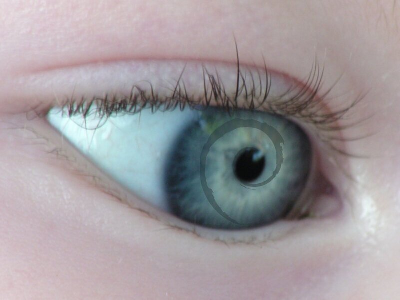 close-up of a blue eye