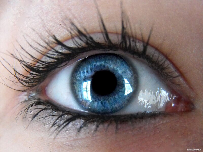 close-up of a blue eye
