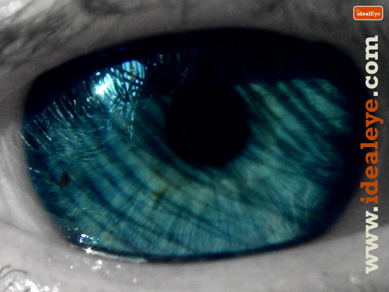 close-up of a blue eye