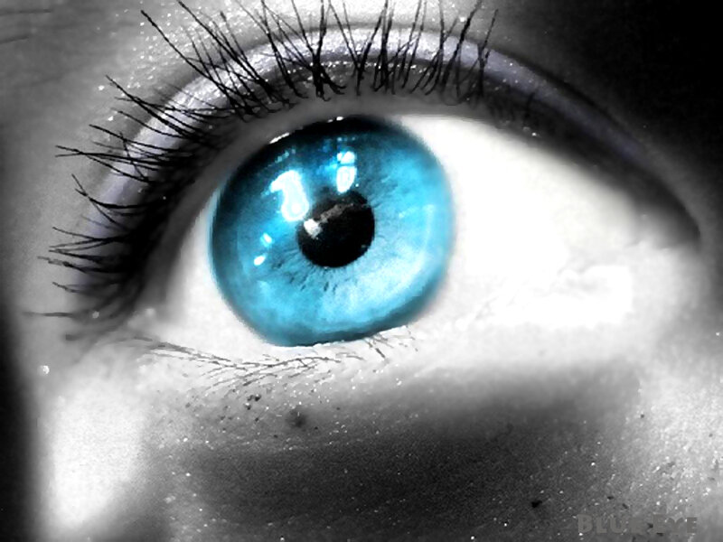 close-up of a blue eye