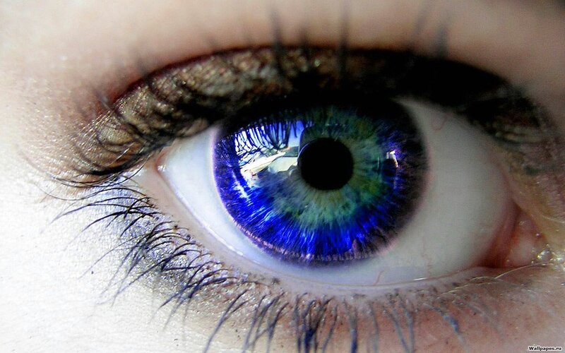 close-up of a blue eye