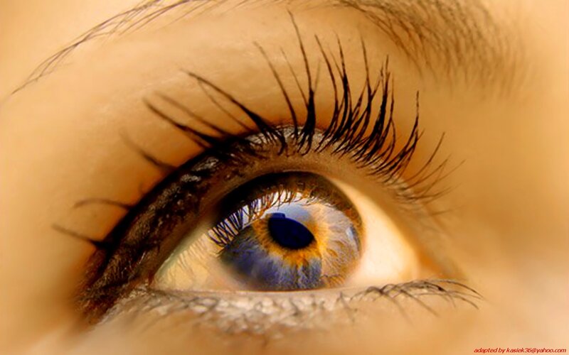close-up of a blue eye