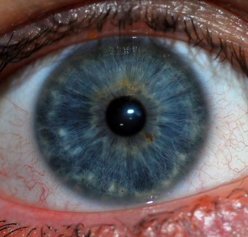 close-up of a blue eye
