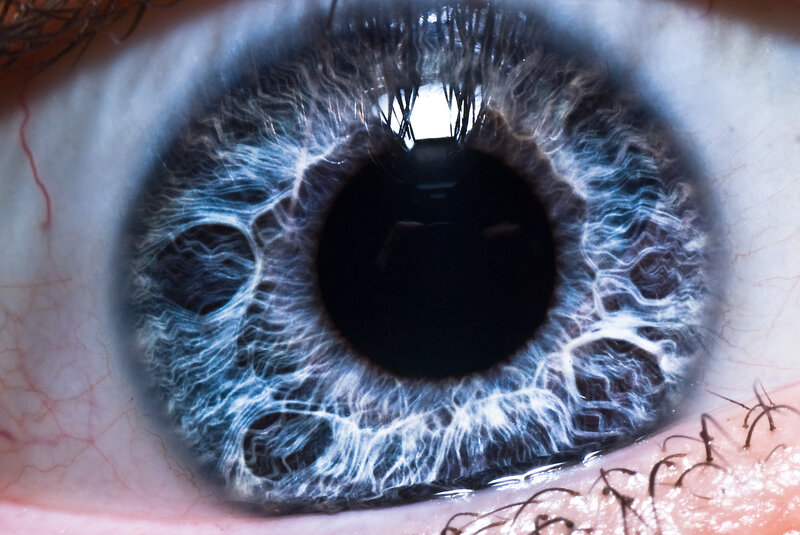 Close-up of a blue eye