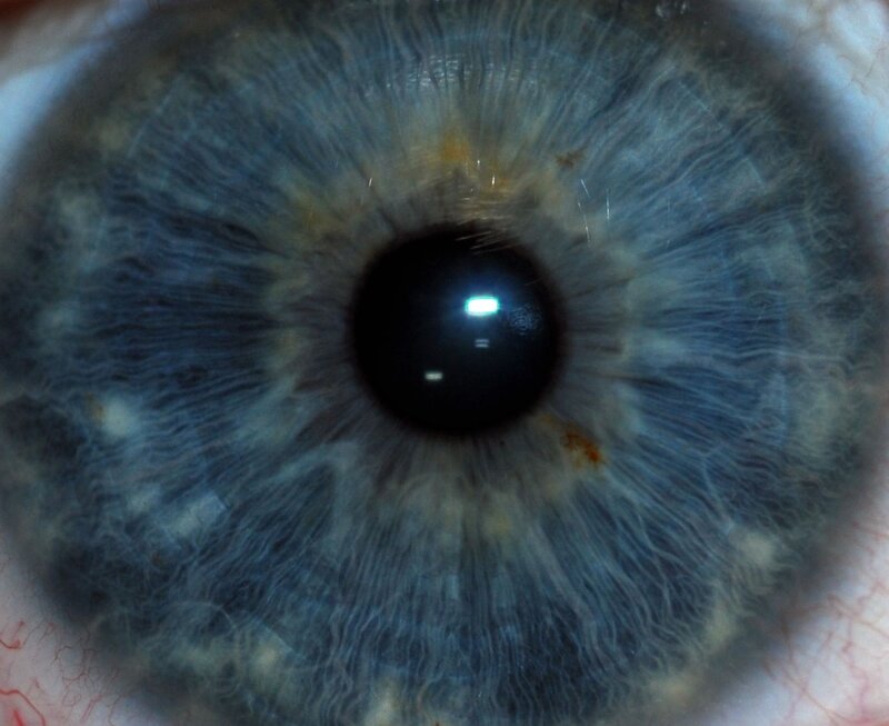 close-up of a blue eye