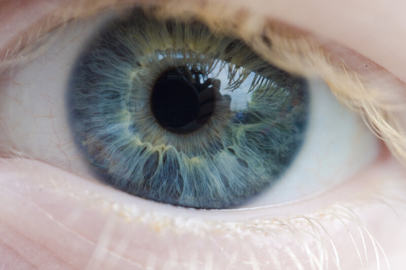 close-up of a blue eye