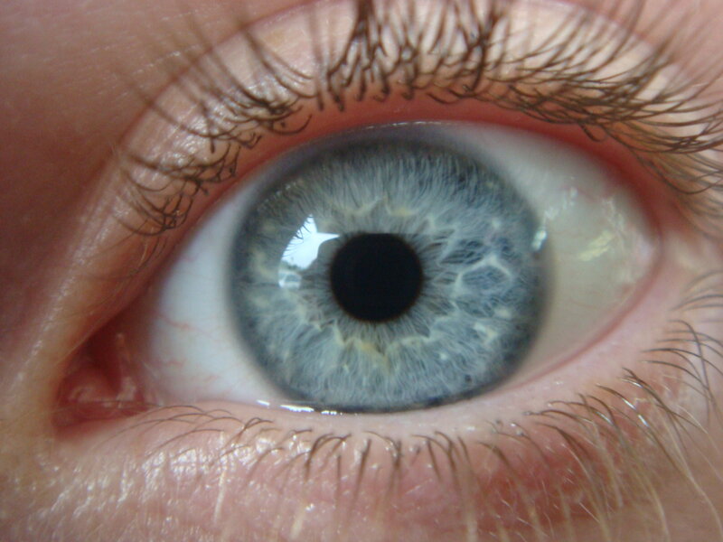 close-up of a blue eye
