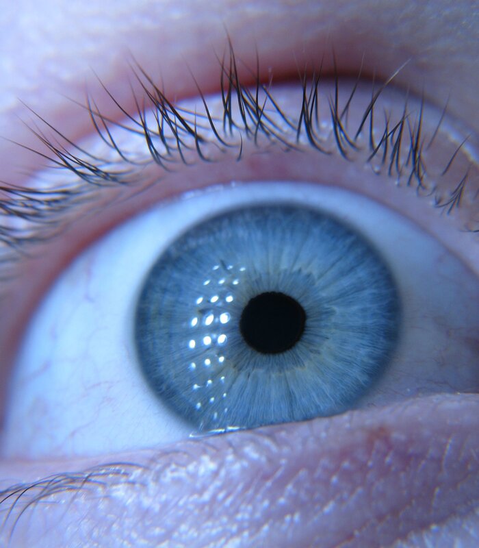 close-up of a blue eye
