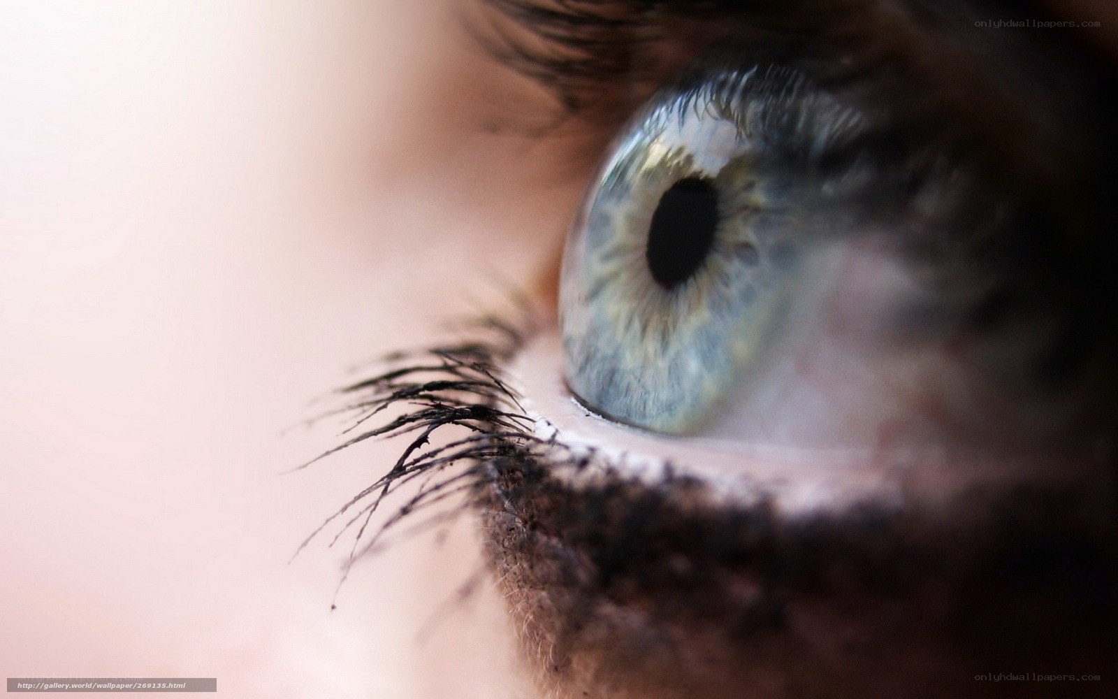 Close-up of a blue eye