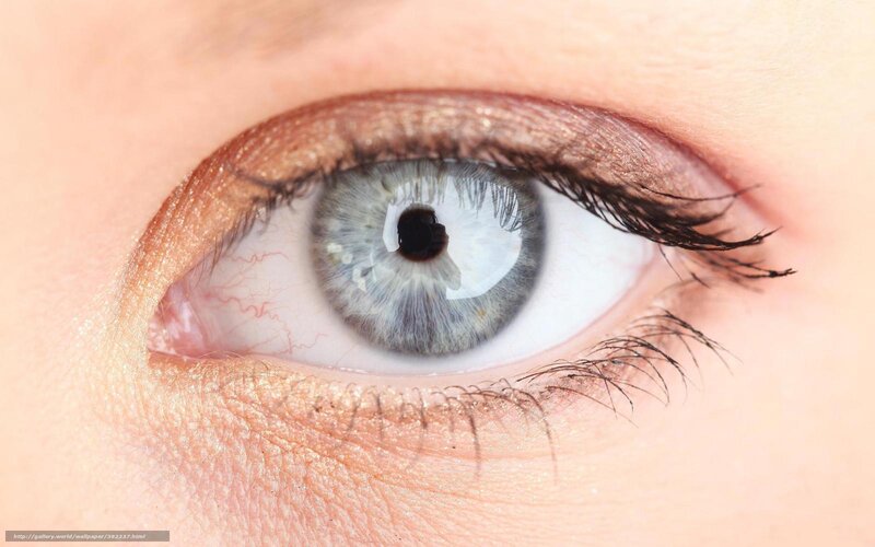 Close-up of a Blue Eye — Neutral, Photograph, Eyelash