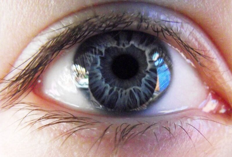 Close-up of a Blue Eye — Neutral