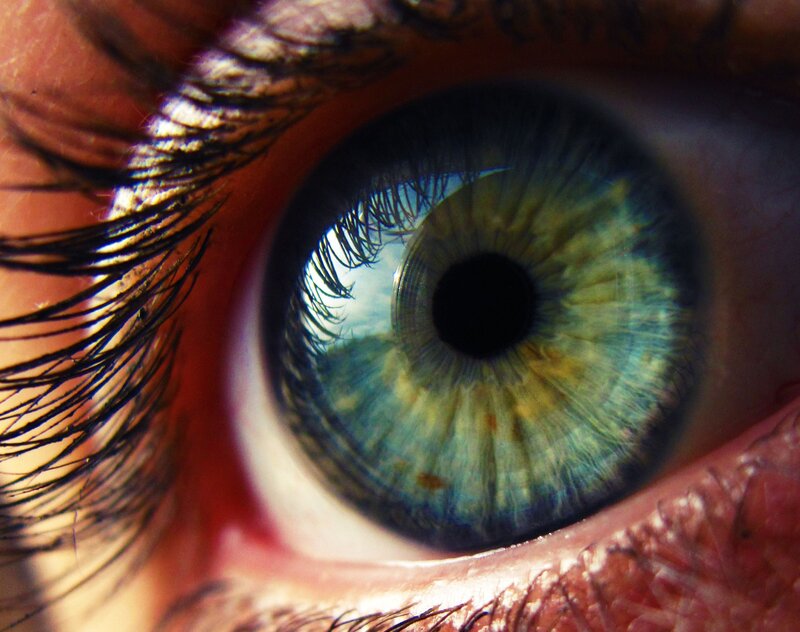 close-up of a blue-green eye