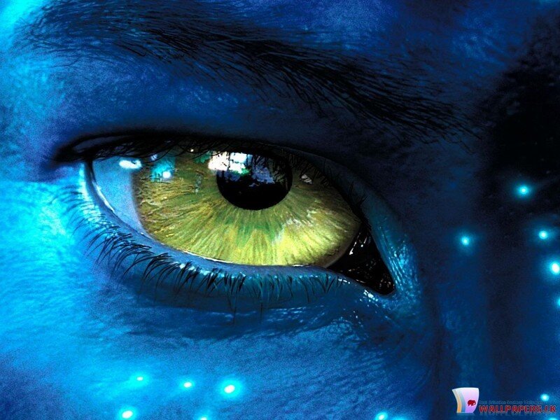 Close-up of a Blue-skinned Eye