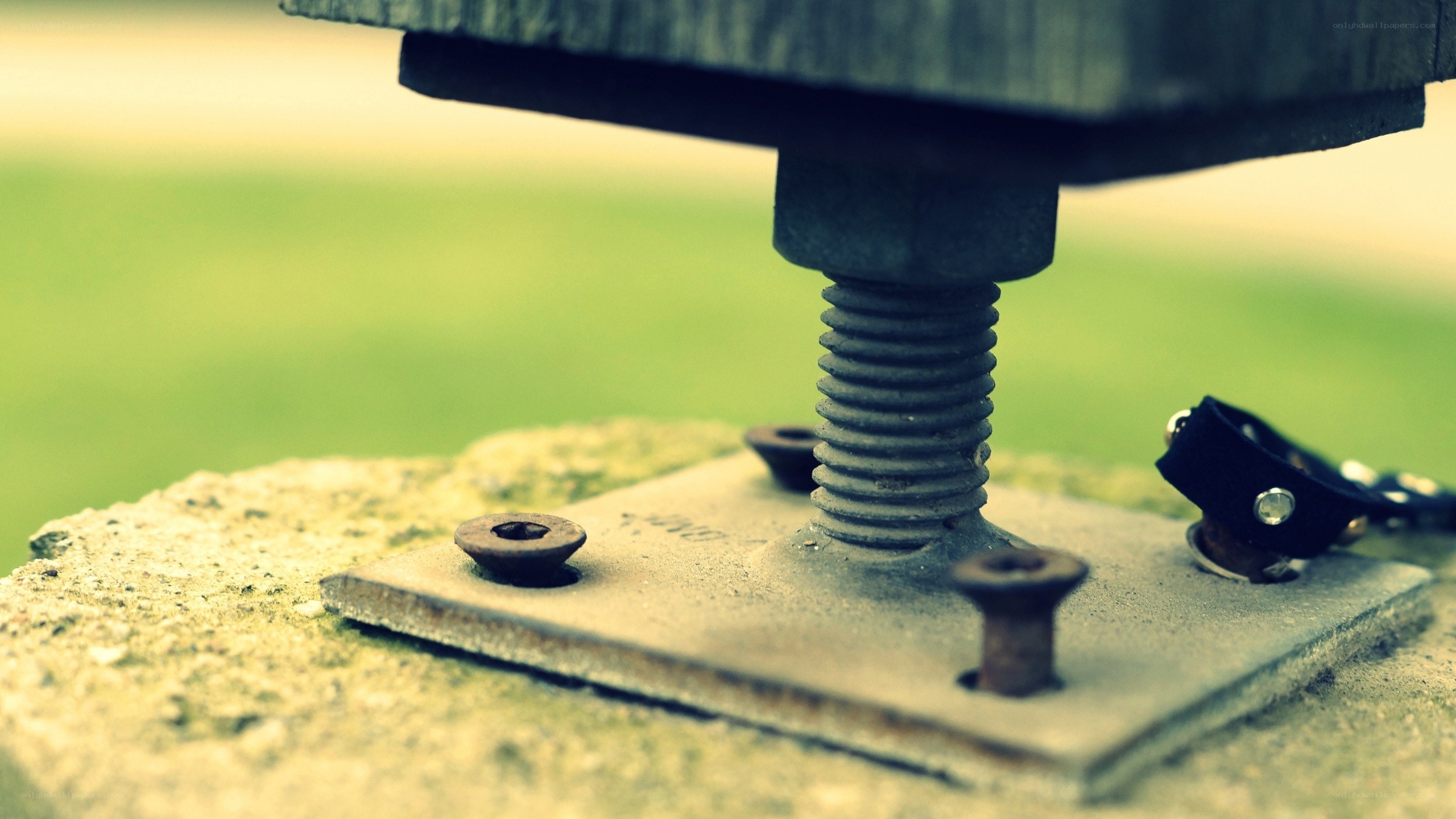 close-up of a bolt and metal plate