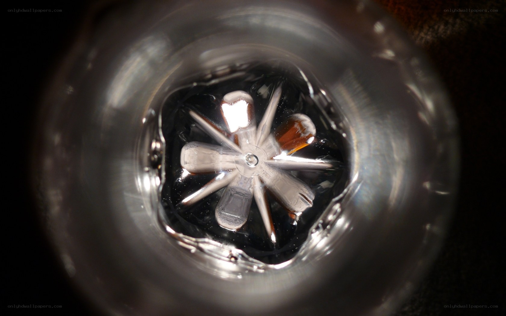 Close-up of a bottle cap
