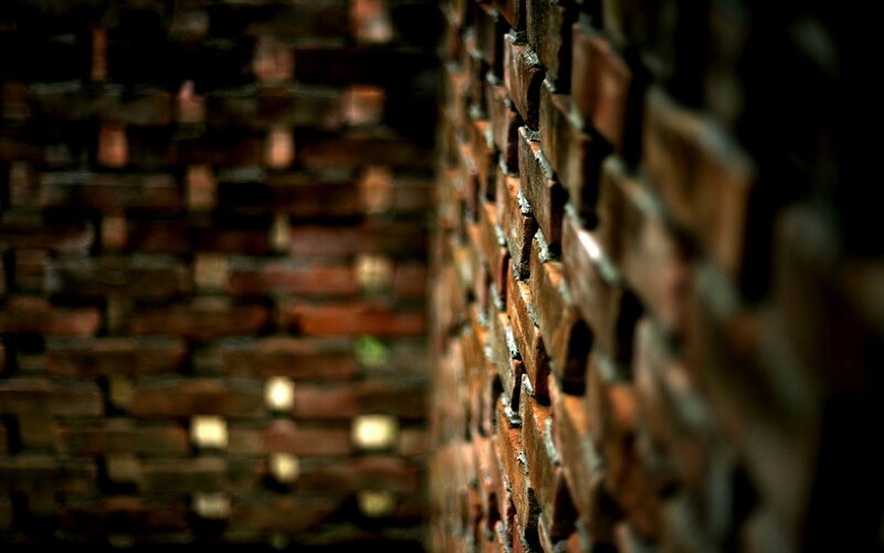 close-up of a brick wall