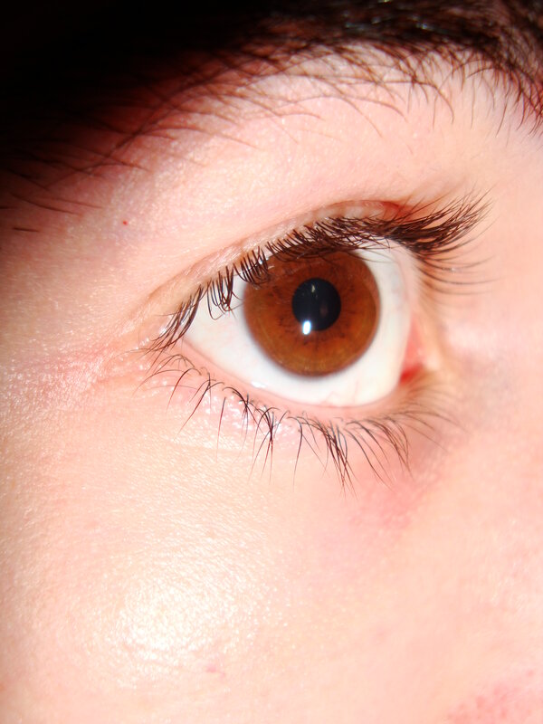 close-up of a brown eye