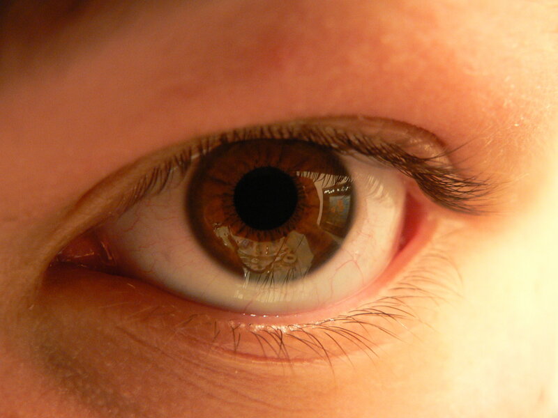 close-up of a brown eye