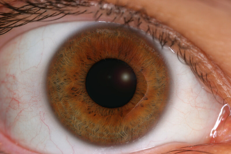 close-up of a brown eye
