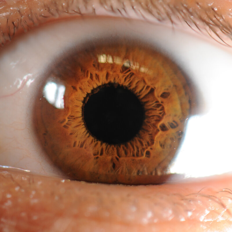 close-up of a brown eye