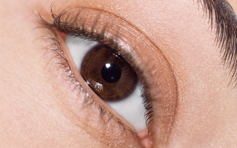 close-up of a brown eye