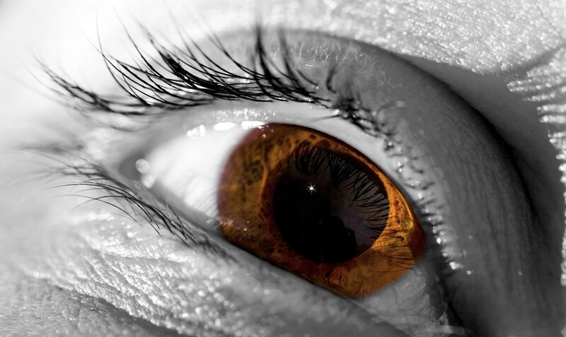 close-up of a brown eye