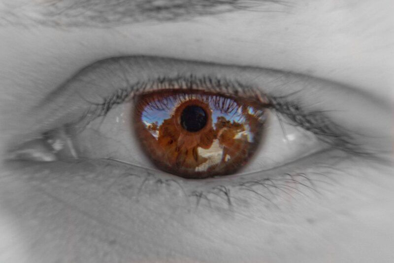 close-up of a brown eye