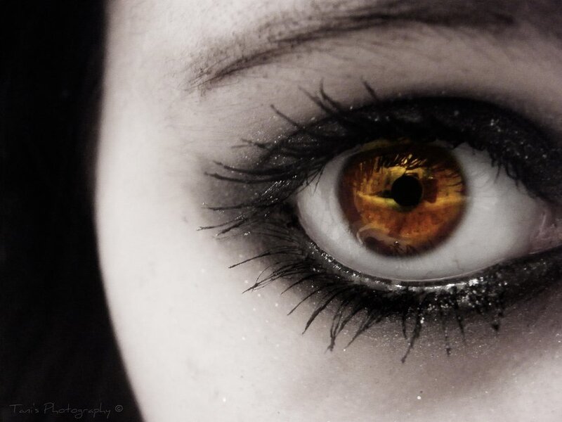 close-up of a brown eye