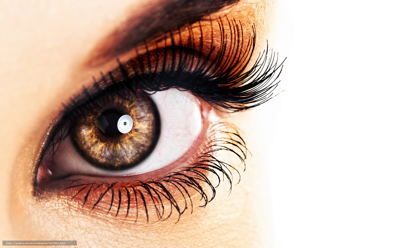 close-up of a brown eye