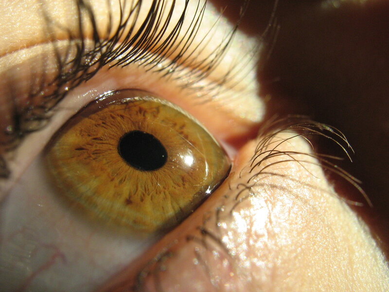 close-up of a brown eye
