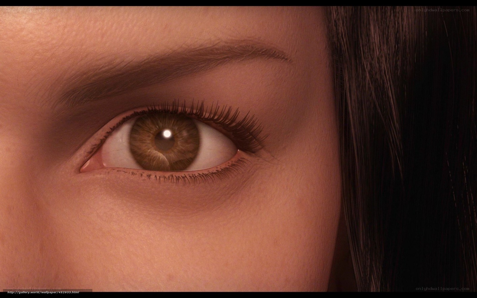 close-up of a brown eye
