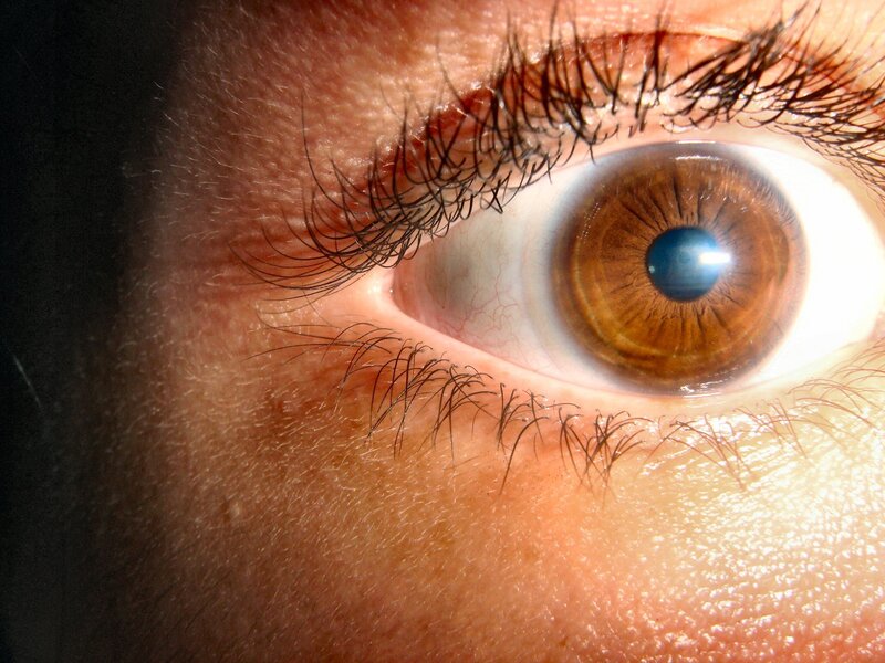 close-up of a brown eye