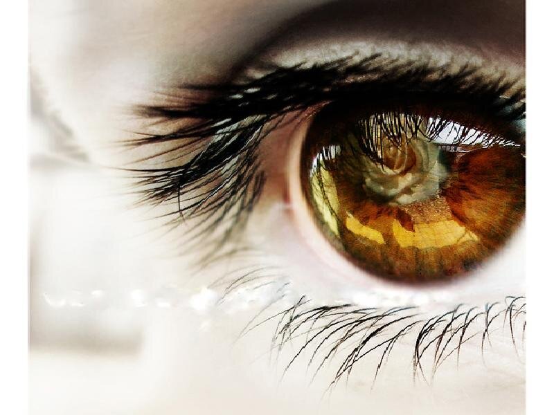 Close-up of a Brown Eye — Dramatic, Photograph, Eyelash, Iris, White, Black